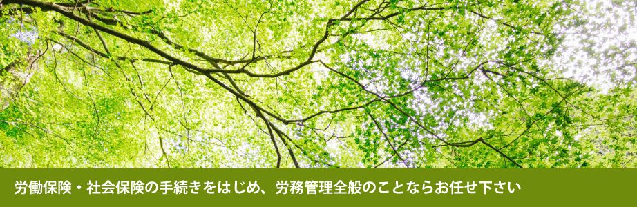 信頼と実績の企業経営相談